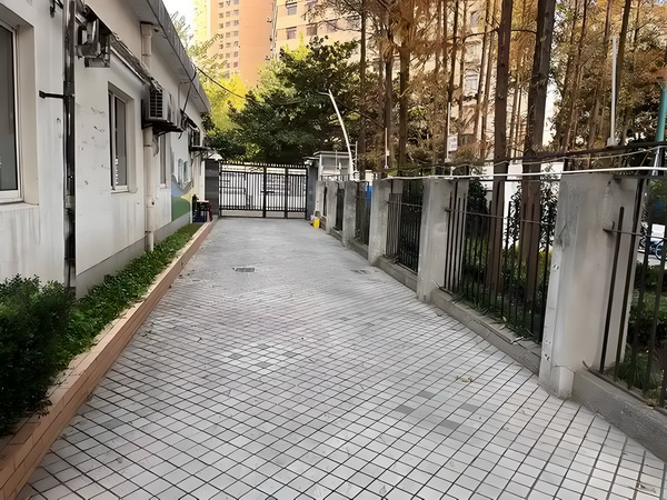 古灵精悍江湖路