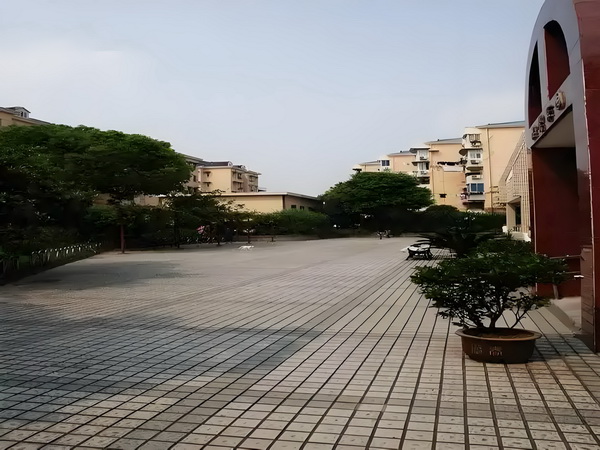 白芷辛夷